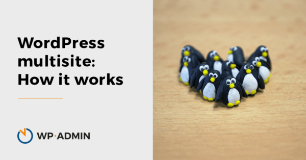 small pinguins as websites in multisite